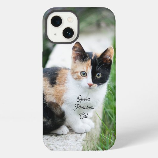 Operafantoomkat iPhone Hoesje (Achterkant)