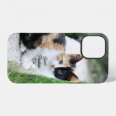 Operafantoomkat iPhone Hoesje (Achterkant horizontaal)
