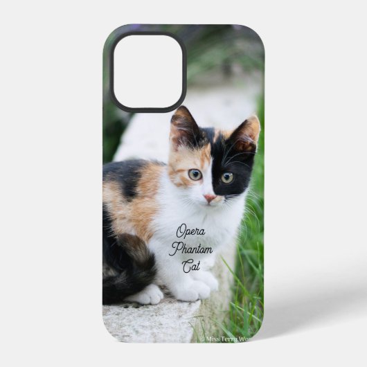 Operafantoomkat iPhone Hoesje (Achterkant)