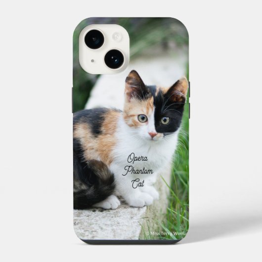 Operafantoomkat iPhone Hoesje (Achterkant)