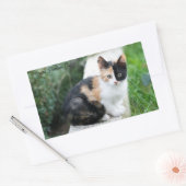 Operafantoomkat Rechthoekige Sticker (Envelop)