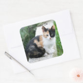 Operafantoomkat Vierkante Sticker (Envelop)