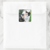 Operafantoomkat Vierkante Sticker (Tas)