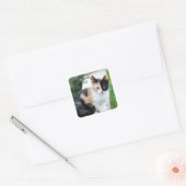 Operafantoomkat Vierkante Sticker (Envelop)