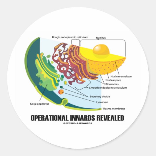Operationele indicatoren (celbiologie) ronde sticker (Voorkant)
