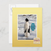 Opgegroeid door pinguïns briefkaart (Voorkant / Achterkant)