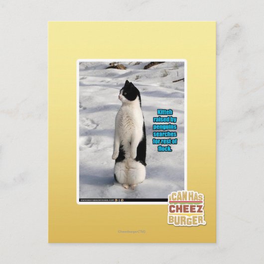 Opgegroeid door pinguïns briefkaart (Voorkant)