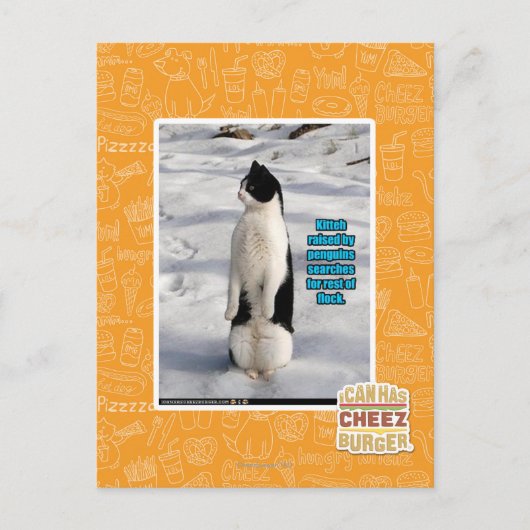 Opgegroeid door pinguïns briefkaart (Voorkant)