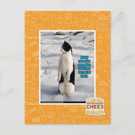 Opgegroeid door pinguïns briefkaart (Voorkant)