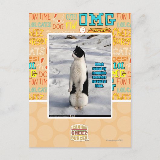 Opgegroeid door pinguïns briefkaart (Voorkant)