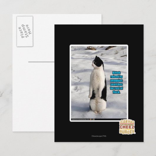 Opgegroeid door pinguïns briefkaart (Voorkant / Achterkant)