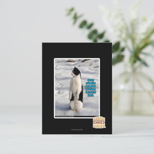 Opgegroeid door pinguïns briefkaart (Staand voorkant)