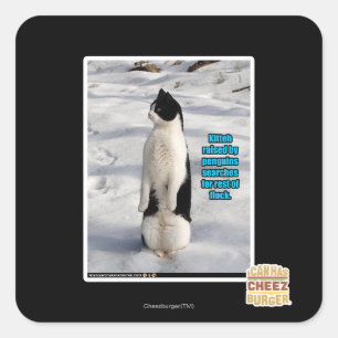 Opgegroeid door pinguïns vierkante sticker