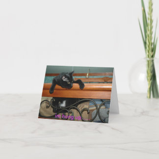 opgehangen Kat Kaart