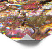 Opgelaaide schorpioenvis poster (Hoek)