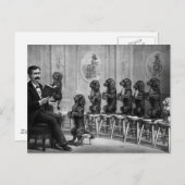 Opgeleide honden briefkaart (Voorkant / Achterkant)