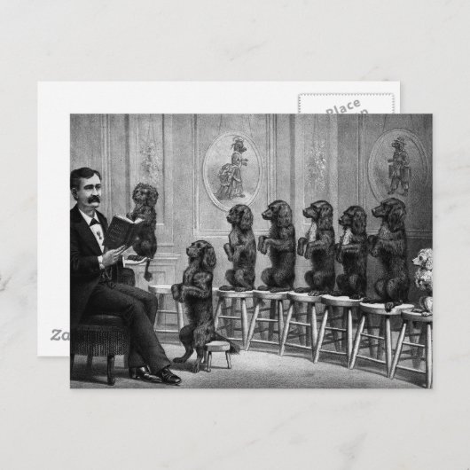 Opgeleide honden briefkaart (Voorkant / Achterkant)