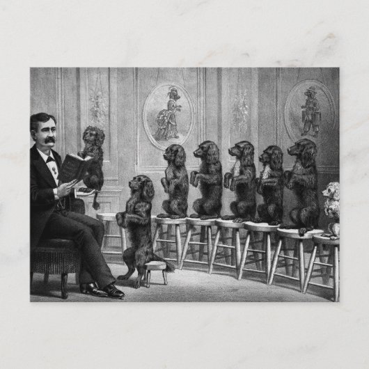 Opgeleide honden briefkaart (Voorkant)