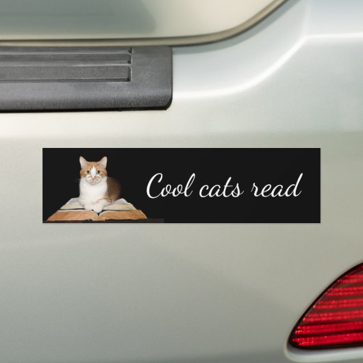 Opgeleide literaire kitty kat bumpersticker (Op auto)