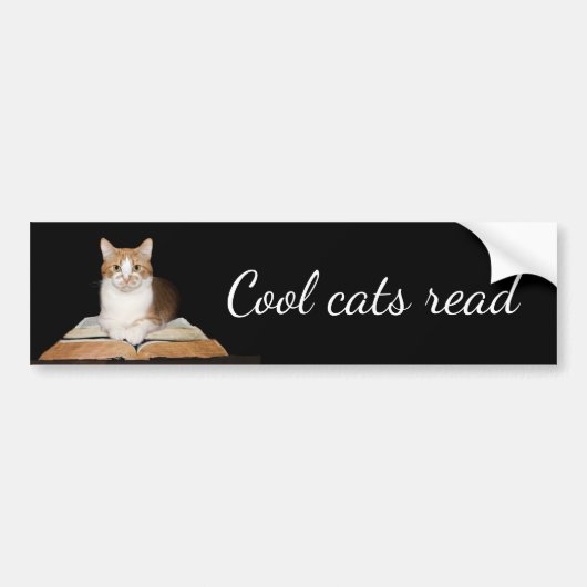 Opgeleide literaire kitty kat bumpersticker (Voorkant)