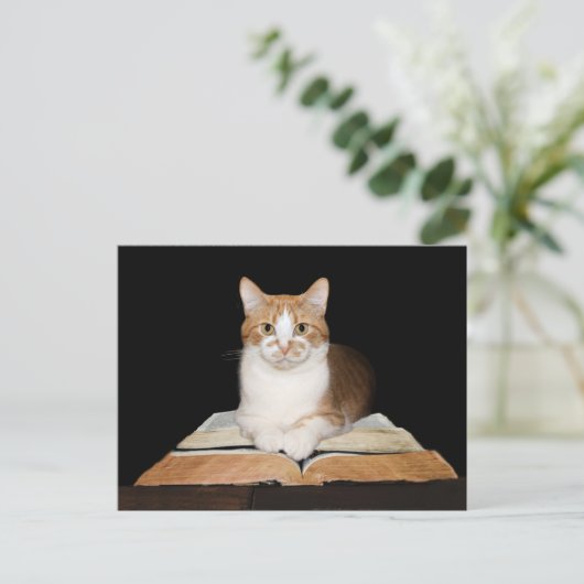 Opgeleide of bibliothecatabat briefkaart (Staand voorkant)