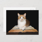 Opgeleide of bibliothecatabat briefkaart (Voorkant / Achterkant)
