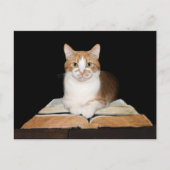 Opgeleide of bibliothecatabat briefkaart (Voorkant)