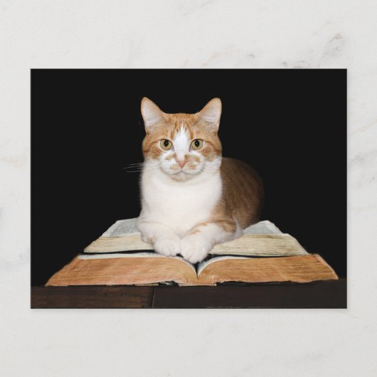 Opgeleide of bibliothecatabat briefkaart (Voorkant)
