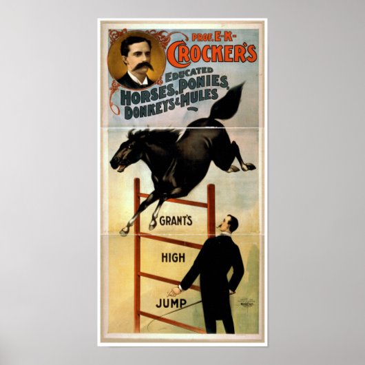 Opgeleide paarden, pony's, ezels en muildieren poster (Voorkant)