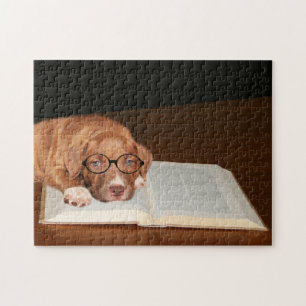 Opgeleide Pitbull Terrier Legpuzzel