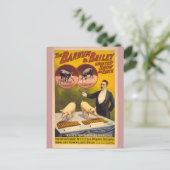 Opgeleide varkens Circus Poster Briefkaart (Staand voorkant)