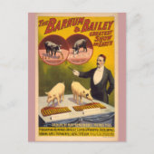 Opgeleide varkens Circus Poster Briefkaart (Voorkant)