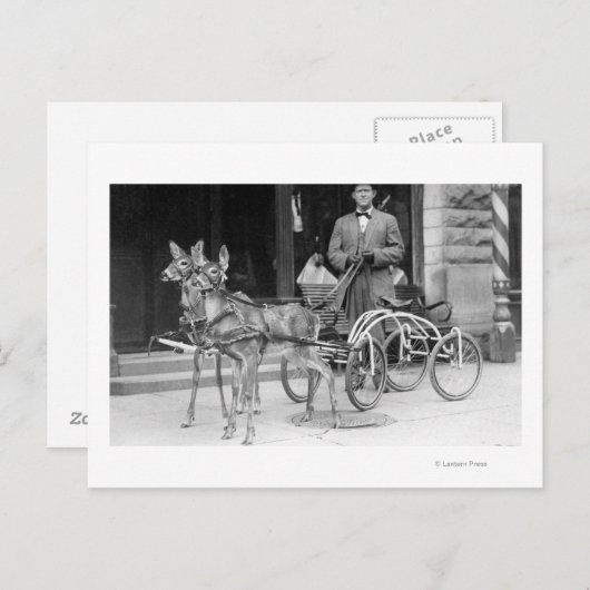 Opgeleide verdier, geërfd met een opgerold hok op  briefkaart (Voorkant / Achterkant)