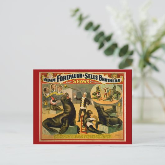 Opgeleide Zeeen Lionen en zegels Circus Poster Briefkaart (Staand voorkant)