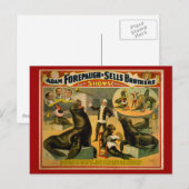 Opgeleide Zeeen Lionen en zegels Circus Poster Briefkaart (Voorkant / Achterkant)