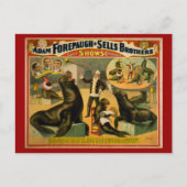 Opgeleide Zeeen Lionen en zegels Circus Poster Briefkaart (Voorkant)