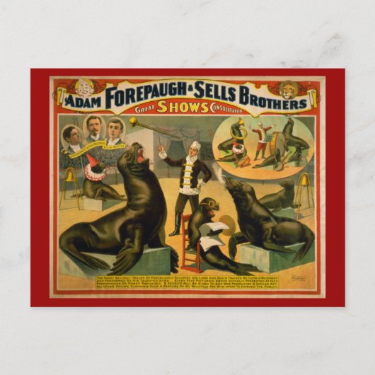 Opgeleide Zeeen Lionen en zegels Circus Poster Briefkaart (Voorkant)