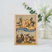 Opgeleide zegels Circus Poster - Forepaugh & Sells Briefkaart (Staand voorkant)