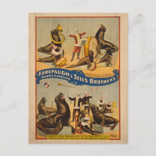 Opgeleide zegels Circus Poster - Forepaugh & Sells Briefkaart (Voorkant)