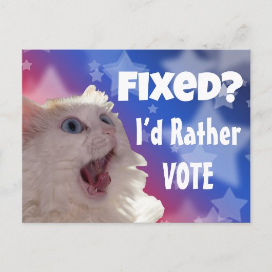 Opgelost? Liever zou ik stemmen Briefkaart (Voorkant)