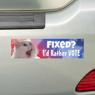 Opgelost? Liever zou ik stemmen Bumpersticker