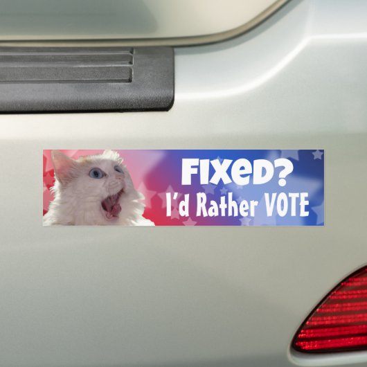 Opgelost? Liever zou ik stemmen Bumpersticker (Op auto)