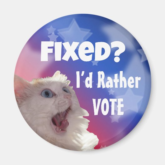 Opgelost? Liever zou ik stemmen Magneet (Voorkant)