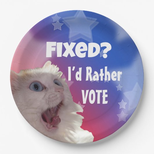 Opgelost? Liever zou ik stemmen Papieren Bordje (Voorkant)