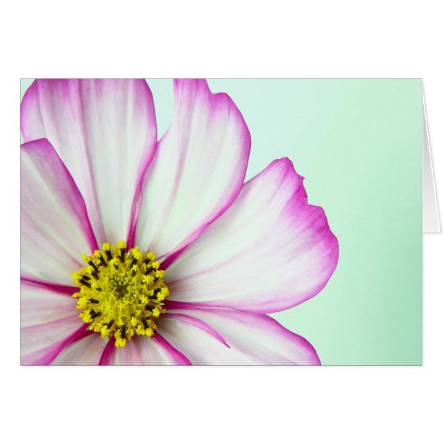 Opgemaakt in roze (Voorkant Horizontaal)