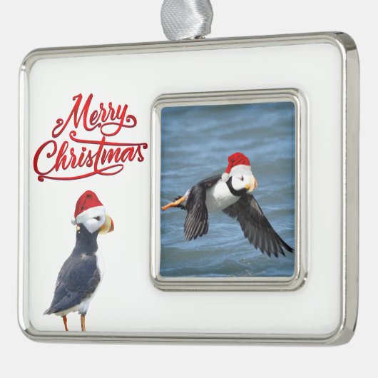 Opgemaakt versiering van puffins verzilverd omlijst ornament (Links)