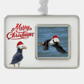 Opgemaakt versiering van puffins verzilverd omlijst ornament (Voorkant)