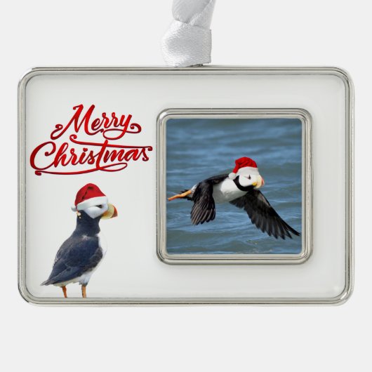 Opgemaakt versiering van puffins verzilverd omlijst ornament (Voorkant)