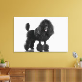 Opgemaakte zwarte pool canvas afdruk (Insitu (Woonkamer))