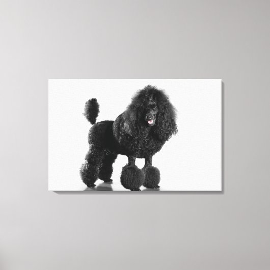 Opgemaakte zwarte pool canvas afdruk (Voorkant)